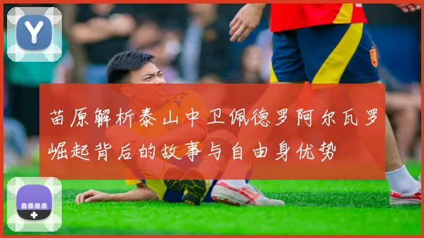 苗原解析泰山中卫佩德罗阿尔瓦罗崛起背后的故事与自由身优势