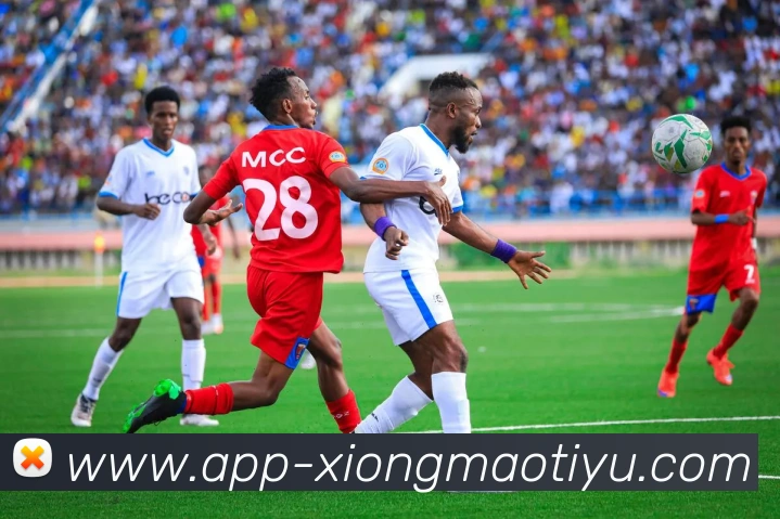 熊猫体育平台生态图