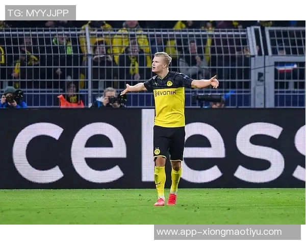 哈兰德仅售6000万多特转手桑乔贝林等五人获利达35亿